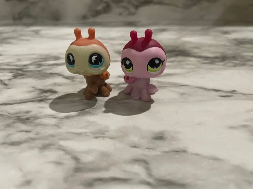 Littlest pet shop ladybugs!